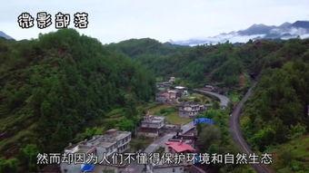 吃瓜奇异小镇,揭秘神秘食文化背后的故事 第1张 吃瓜奇异小镇,揭秘神秘食文化背后的故事 第1张